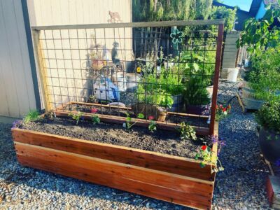 diy custom plant stand