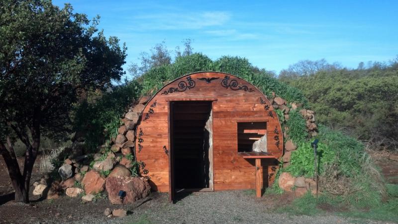 DIY Wine Cellar How To Build One And Finish With Real Milk Paint